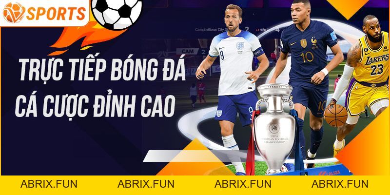 Chi Tiết Cách Tải App VSPORT Dành Cho Tân Thủ Mới Nhất